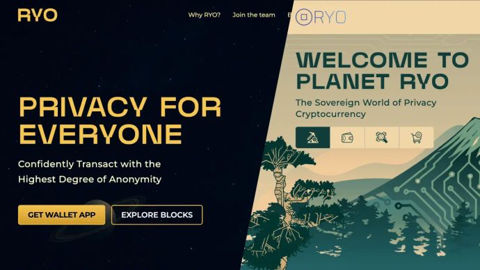 RYO Coin banner