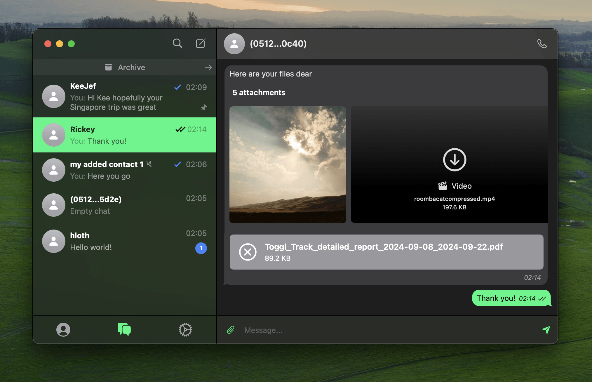 Session Native screenshot with a bunch of chats, archive tab, a conversation with media files attached